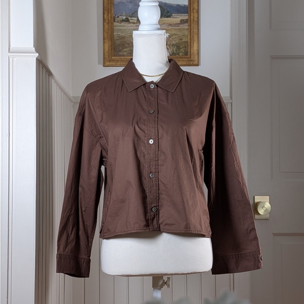 Everlane Chestnut Brown Woven Cropped Button Down Shirt S